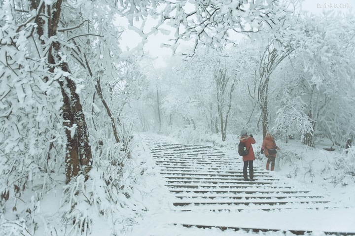 大雪入冬，這邊卻刮起了“火熱風(fēng)暴”(圖2)